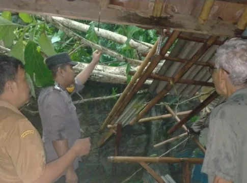 Ketpot: Rumah milik warga yang rusak akibat tertimpa pohon tumbang