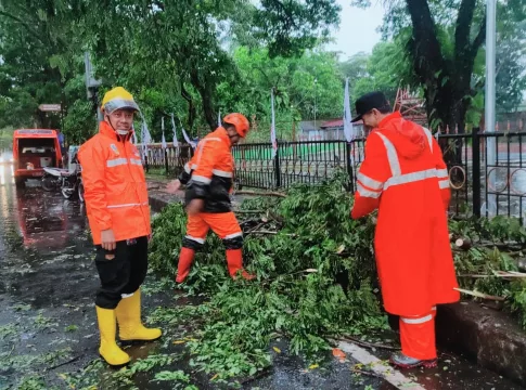 Ket foto : Sejumlah bencana terjadi di Tasikmalaya, Tim BPBD Kota Tasikmalaya, dengan Sigap melakukan evakuasi pohon tumbang di Komplek Olahraga Dadaha (fokusjabar/Seda)