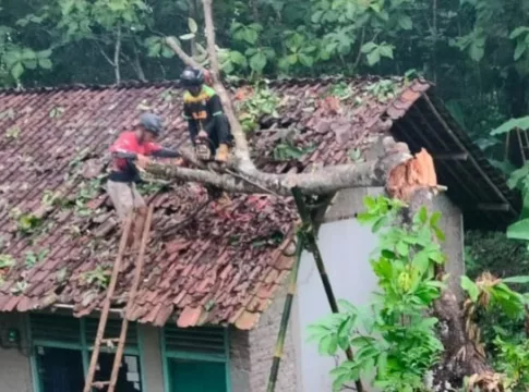 bencana alam ciamis fokusjabar.id