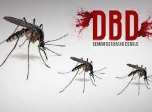 Demam Berdarah Dengue fokusjabar.id