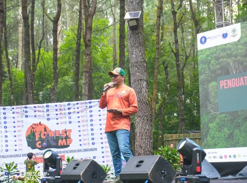 FOREST CAMP 2024