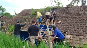 pohon tumbang talegong fokusjabar.id