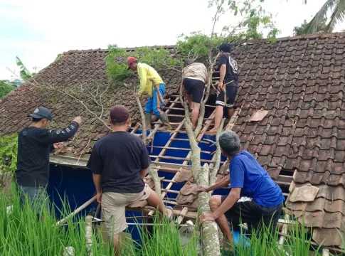 pohon tumbang talegong fokusjabar.id