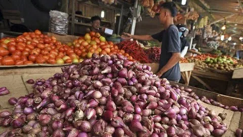 bawang merah fokusjabar.id