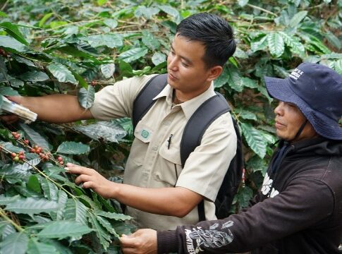 Pupuk Kujang