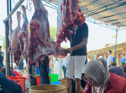 Ket foto : Petugas Keswan DKP3 Kota Tasikmalaya, sedang memeriksa daging hewan kurban di salah titik pemotongan sapi (fokusjabar/Seda)