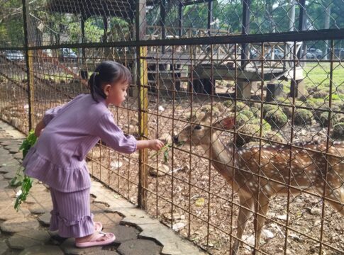 Kebun Binatang Bandung