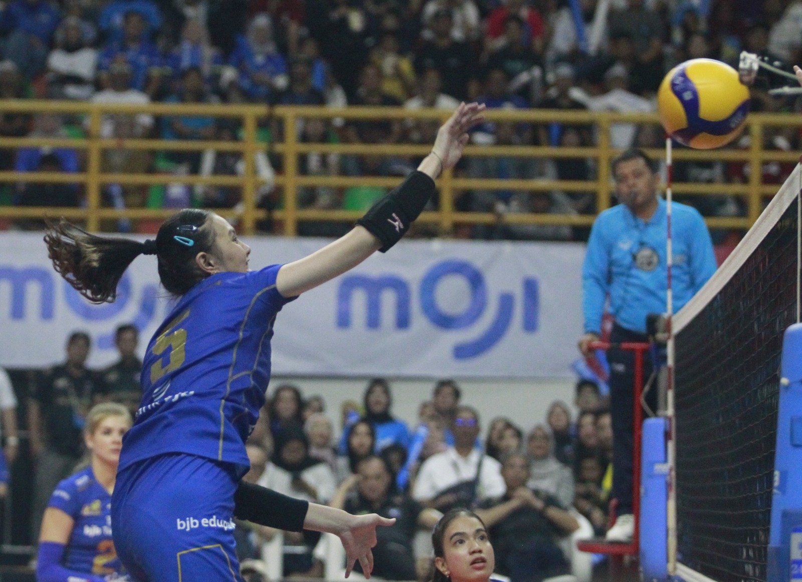 fokusjabar.id Bandung bjb Tandamata Proliga 2024