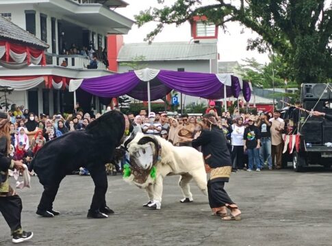 domba garut fokusjabar.id