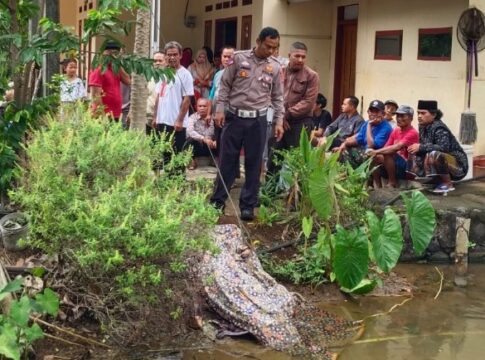 cikacang fokusjabar.id