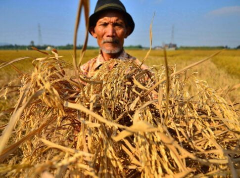 petani fokusjabar.id