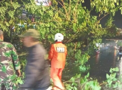 pohon tumbang pengendara sepeda motor fokusjabar.id