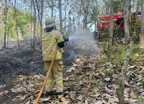 Kebakaran Hutan