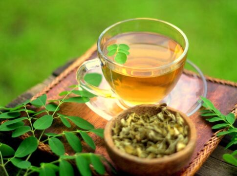 Manfaat Daun Kelor