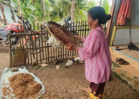 petani kapulaga fokusjabar.id