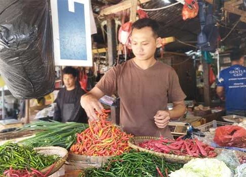 harga bawang cabai