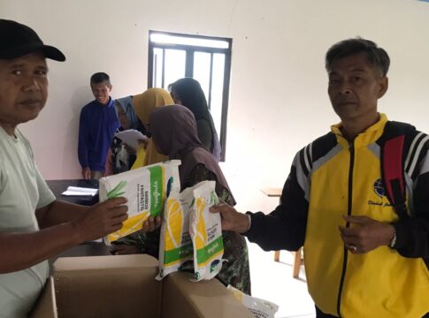 bibit jagung fokusjabar.id