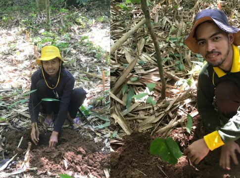 Poto: Suasana saat penenaman pohon picung