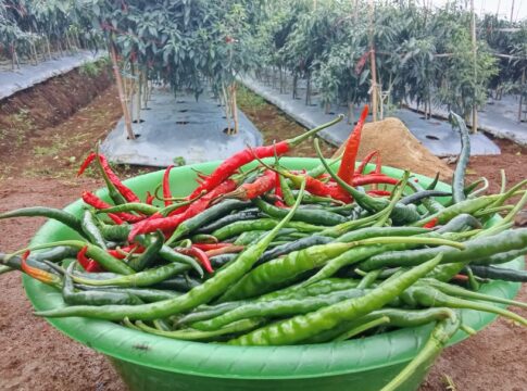 pasar manis ciamis fokusjabar.id