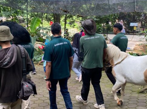 kebun binatang bandung fokusjabar.id