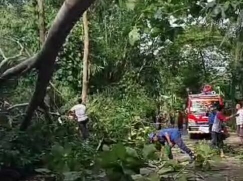 Ketpot: Petugas Damkar pos WMK Banjarsari saat mengevakuasi pohon tumbang dari tengah jalan