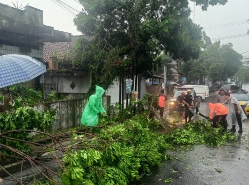 Ketpot: Personel BPBD Kabupaten Ciamis saat mengevakuasi pohon tumbang di wilayah Kelurahan Maleber Ciamis