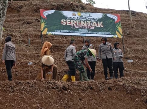 Ketpot: Jajaran Polres Ciamis saat melaksanakan penanaman jagung di wilayah Kecamatan Panawangan Ciamis