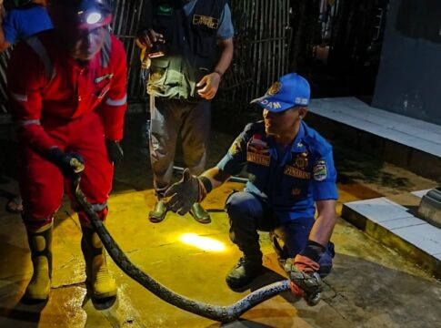 ular sanc kembang fokusjabar.id