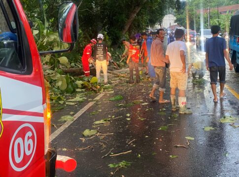 Ketpot: Personel Damkar pos WMK Banjarsari saat mengevakuasi pohon jati tumbang di Pamarican Ciamis