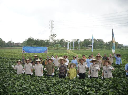 bank bjb Dukung Sektor Pertanian Melalui Kemitraan Strategis dengan PT Kelola Agro Makmur dan Panen Raya Edamame di Semarang