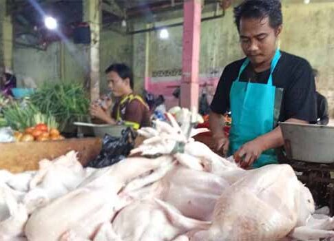 harga daging ayam