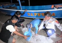 Poto: Petugas gabung saat evakuasi puluhan telur penyu di pantai Barat Pangandaran