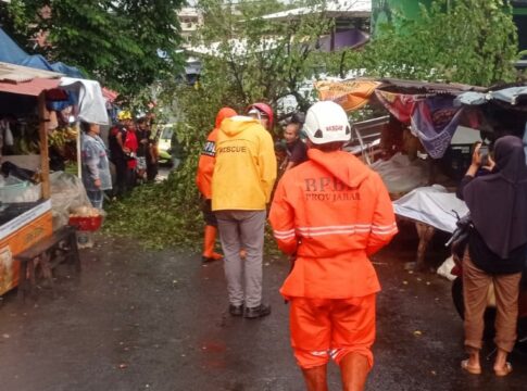 Ketpot: Pohon yang bertumbangan di wilayah Kecamatan Ciamis, Satu Pedagang Terluka