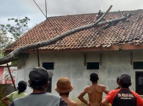 Ketpot: Pohon Tumbang yang menimpa rumah Jejen warga Desa Handapherang