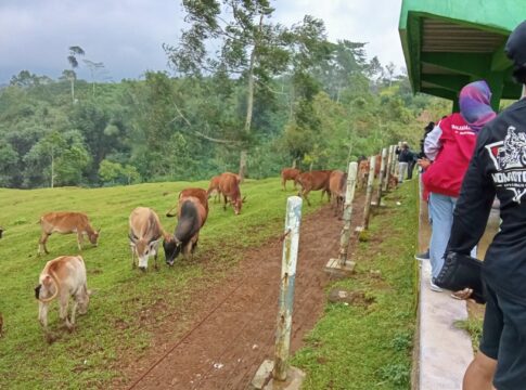 Makam Eyang Jayaraksa fokusjabar.id