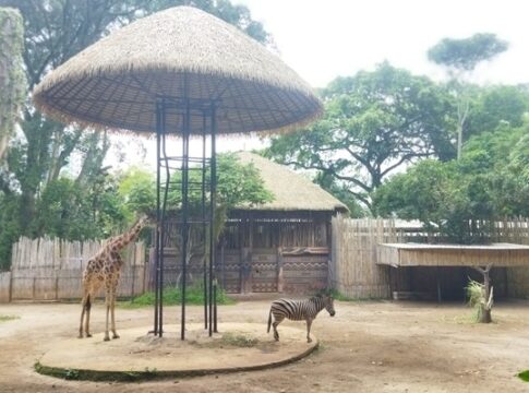 Anggota Komisi III DPRD Kota Bandung, Andri Rusmana Dukung Penuh Pengelolaan Kebun Binatang Bandung Atau Bandung Zoo di Kelola Oleh Pihak Ketiga