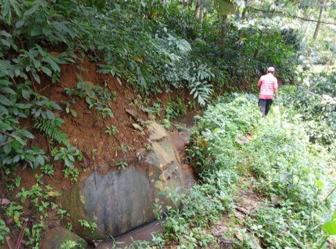 Ketpot: Lingkungan Pasir Bui yang berada di Dusun Ciawitali Desa Selacai Cipaku Ciamis