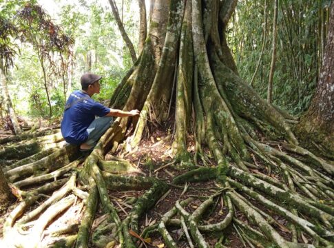 Makam Eyang Raden Sukmawijaya fokusjabar.id