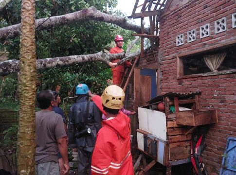 Caption: Rumah warga di KEcamatan Banjar Kota Banjar rusak tertimpa pohon tumbang