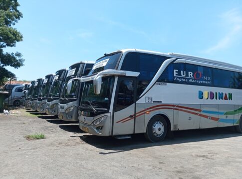 Saat ini bus Antar Kota dan Provinsi (Akap) menuju ke Pangandaran memiliki sembilan jurusan