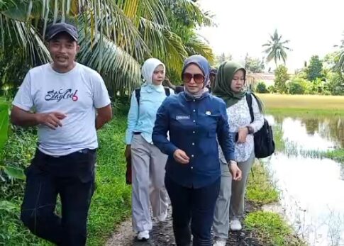 Poto: Bupati Pangandaran Citra Pitriami saat meninjau Sawah Terendam Air Laut di Desa Legokjawa