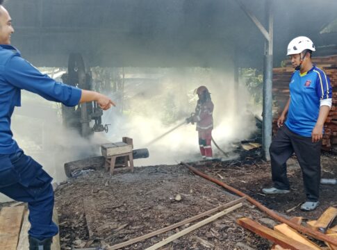 Pabrik kayu Ciamis