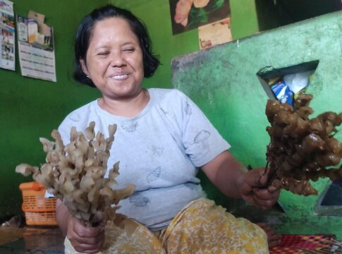 colok gembrung ciamis fokusjabar.id
