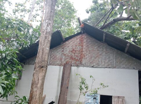 Ketpot: Rumah Mahpudin di wilayah Pamarican yang tertimpa pohon waru tumbang