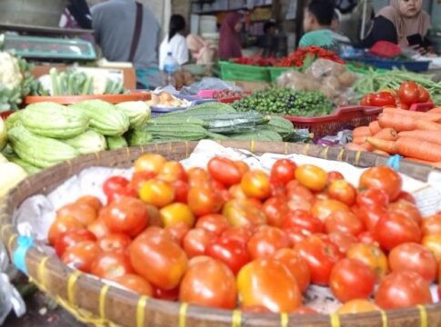 harga tomat Ciamis