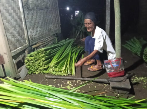 Poto: Nek Enih saat membersihkan daun Pandan
