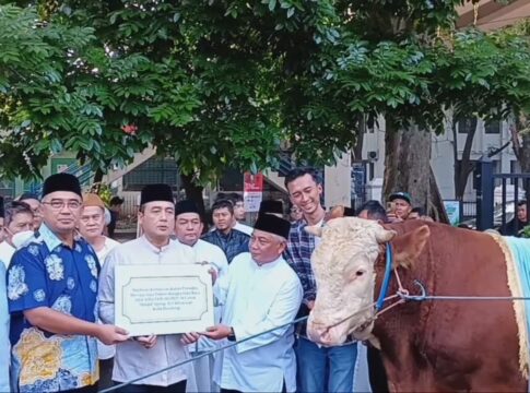 Wali Kota Bandung dan Wakil Wali Kota Bandung Muhammad Farhan dan Erwin Secara Simbolis Terima Sapi dari Persiden Prabowo Subianto di Halaman Masjid Al Ukhuwah Kota Bandung Jumat (6/6/2025)