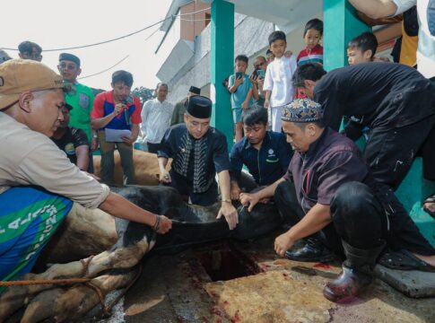 Wakil Wali Kota Bandung Erwin Saat Menyembelih Hewan Kurban di Masjid Al Falah di Jalan Cisitu Baru Kecamatan Coblong Kota Bandung Jabar Jumat (6/6/2025) -Ist-