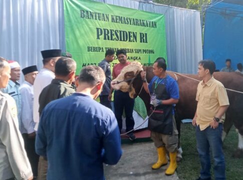 Ketpot: Suasana penyerahan bantuan Sapi hewan qurban untuk Kampung Kerukunan Susuru Panawangan Ciamis