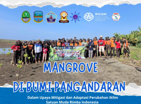 Poto: Mangrove di bumi Pangandaran SMKN 1 Pangandaran